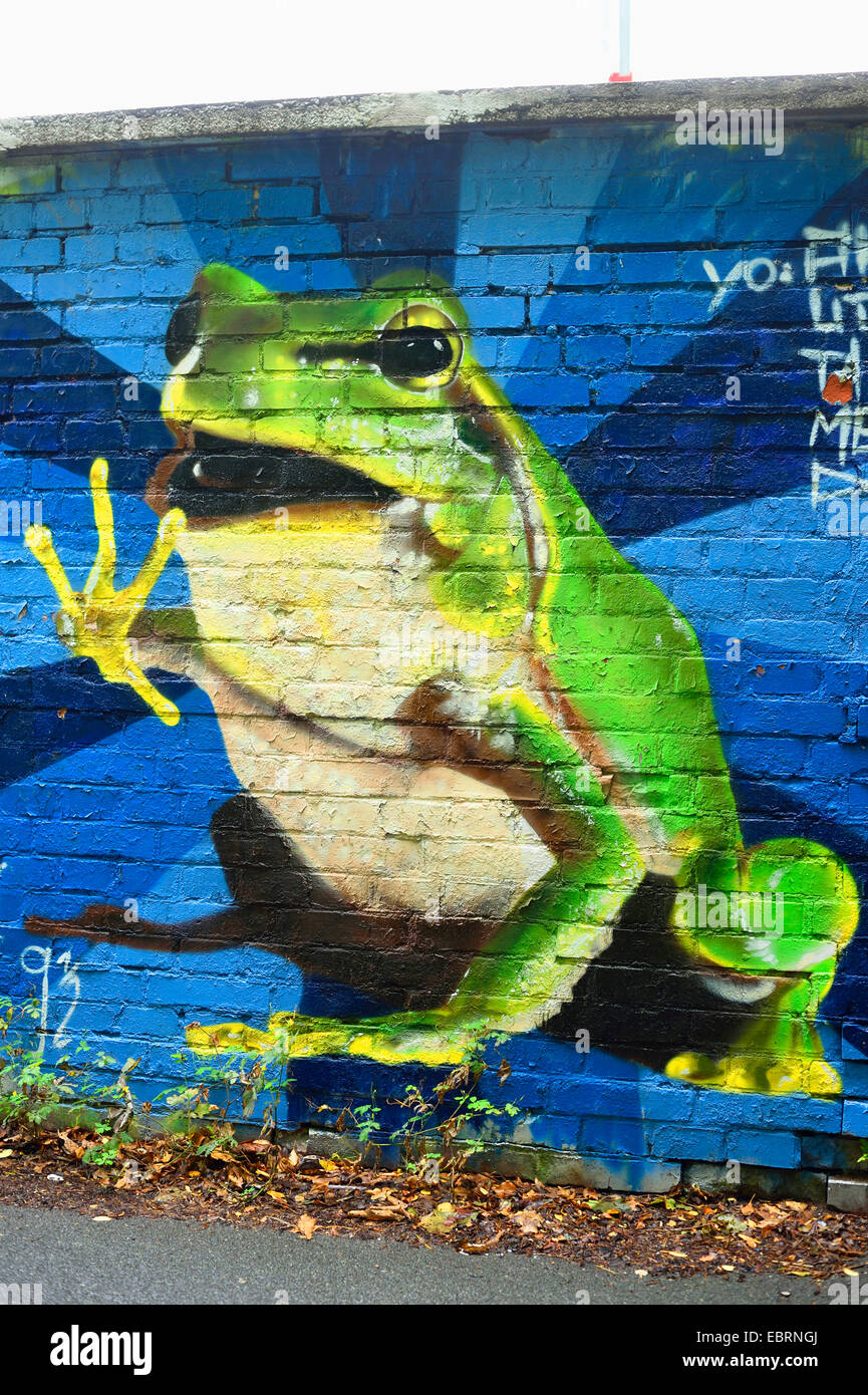 Frosch als ein Graffiti auf eine Mauer, Deutschland, Bayern, Stein Stockfoto