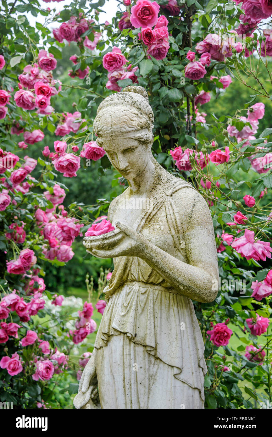 Dekorative rose (Rosa 'Parade'), Sorte Parade mit Skulptur einer Frau Stockfoto