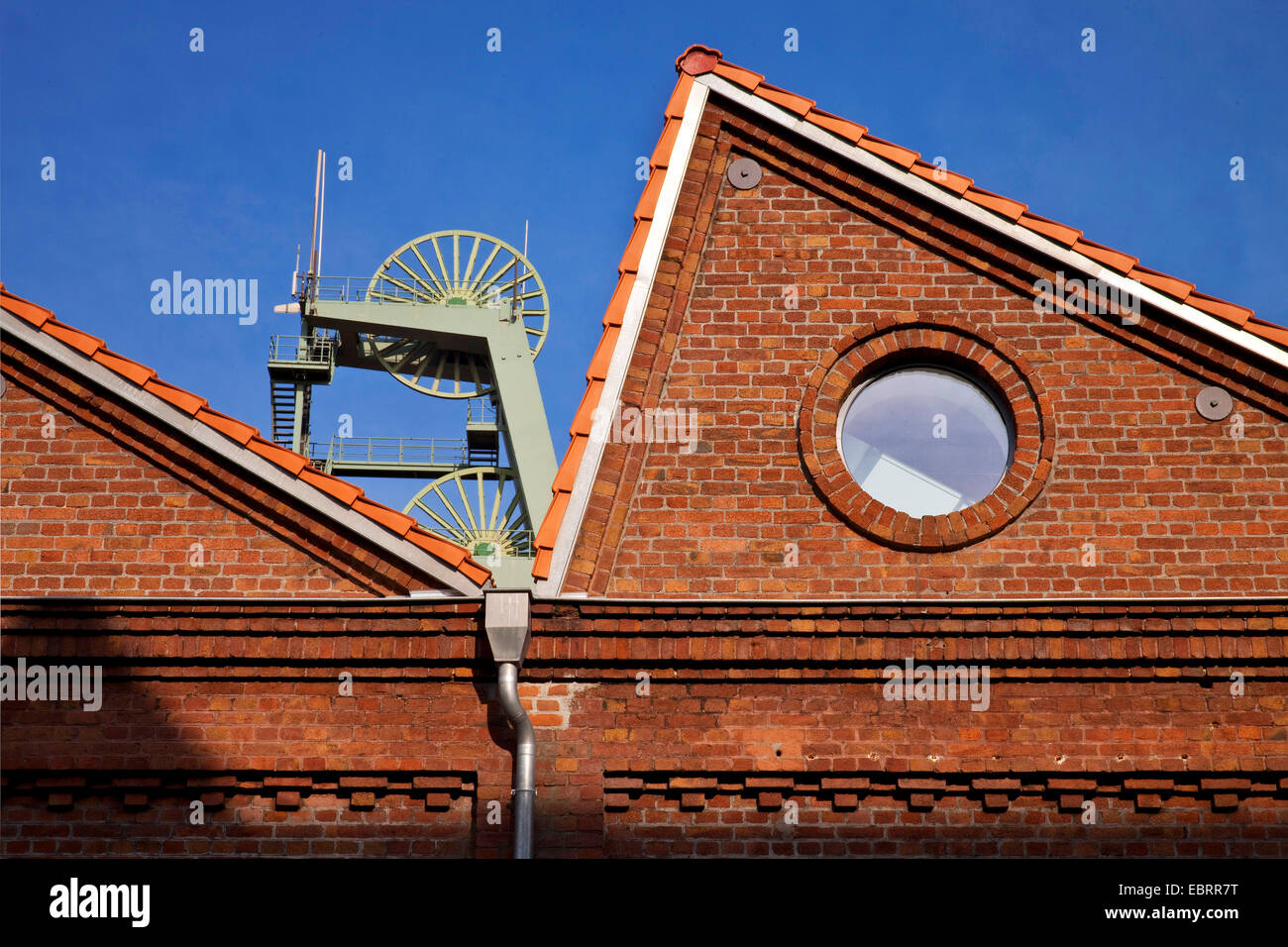 Grube Schachtturm hinter Dächern der Kohle von mir Ewald, Deutschland, Nordrhein-Westfalen, Ruhrgebiet, Herten Stockfoto
