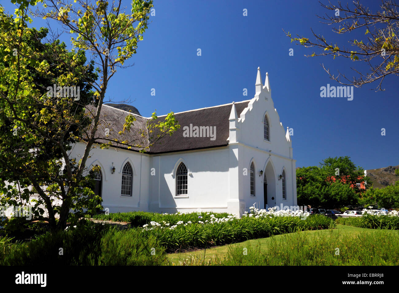 Eine weiße Cape Dutch Stil Kirche, umrahmt von weißen Blumen und Bäumen. Stockfoto