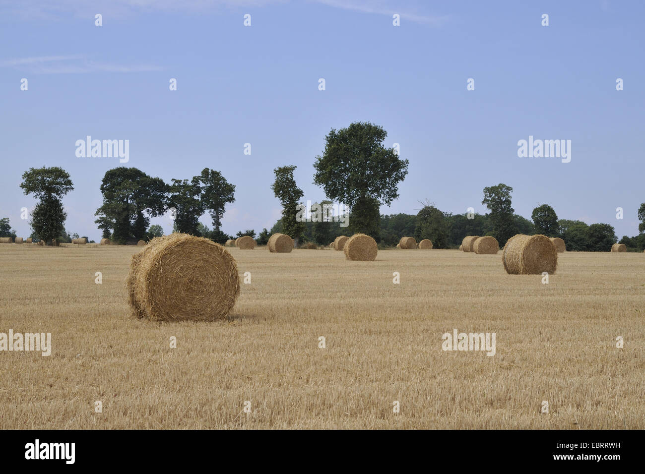 Strohballen auf abgeernteten Feld, Frankreich, Bretagne Stockfoto