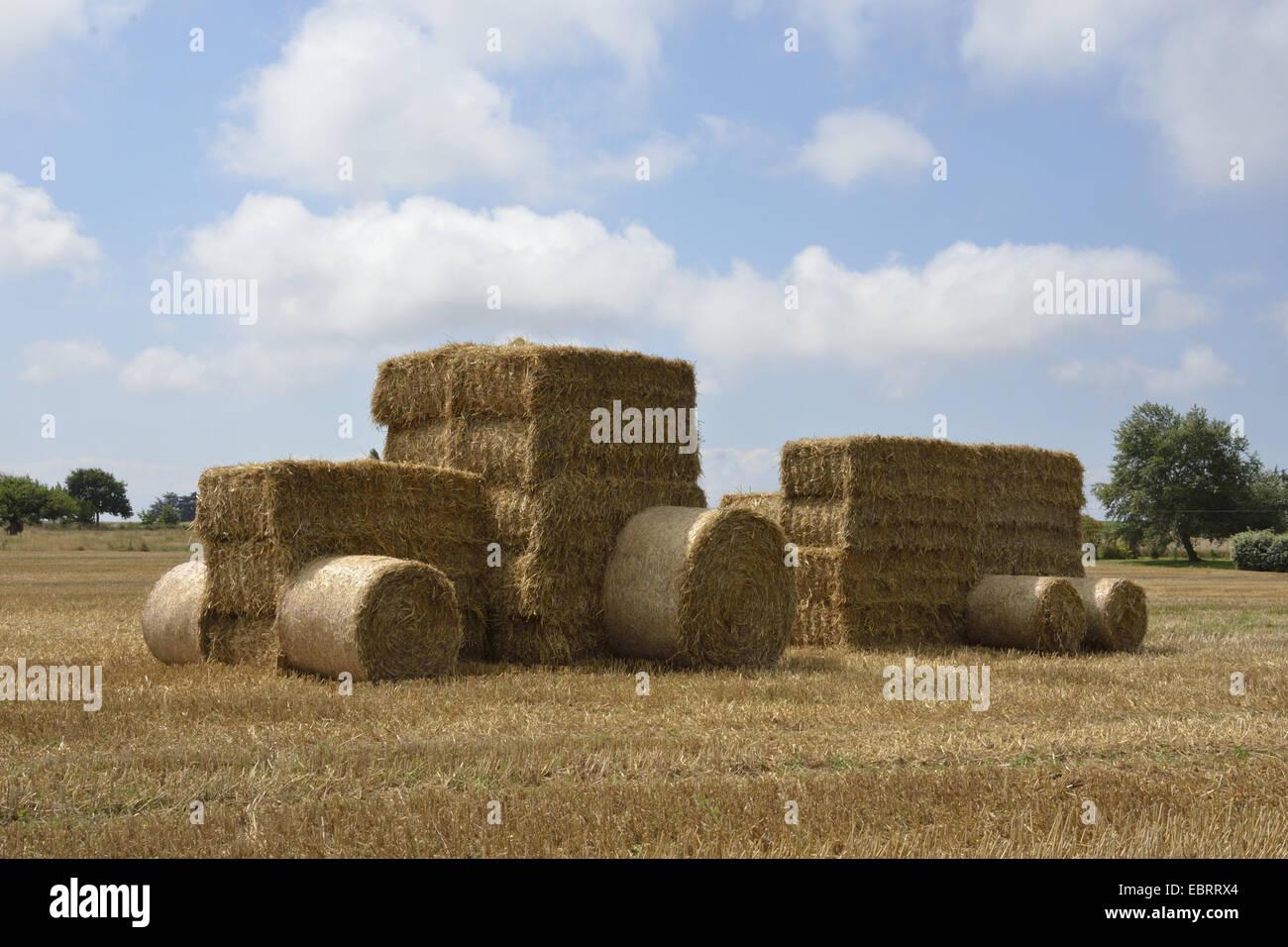 Traktor gemacht von Strohballen auf Stoppelfeld, Frankreich, Bretagne Stockfoto