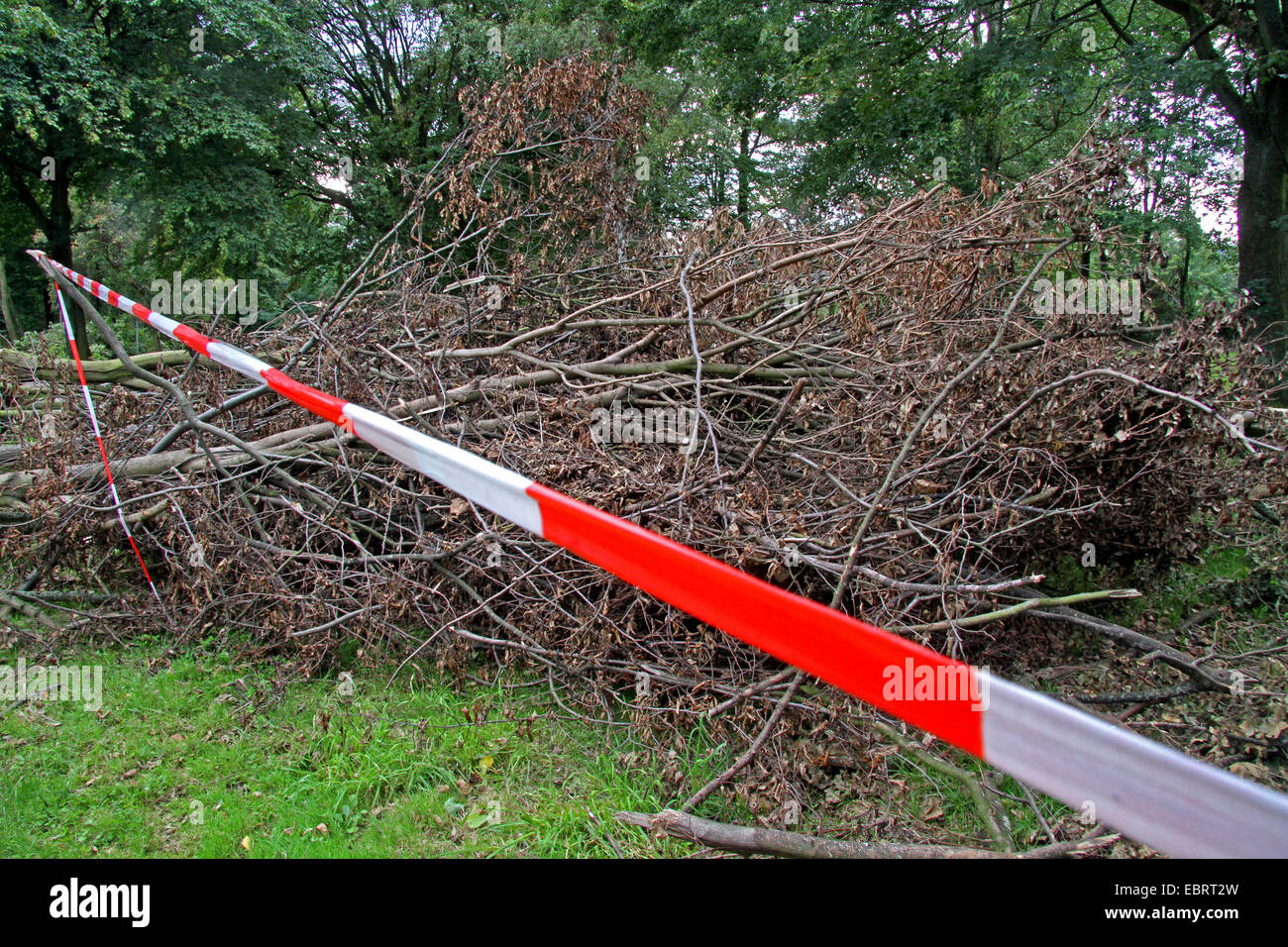 Warnung-Klebeband vor einem Haufen von Ästen nach einem Sturm, Essen, Ruhrgebiet, Nordrhein-Westfalen, Deutschland Stockfoto