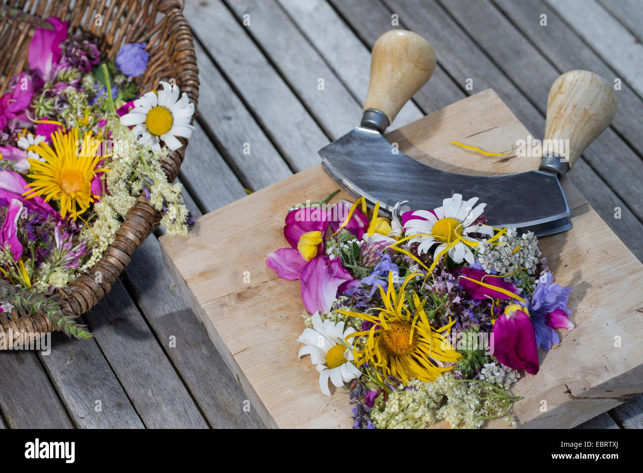 essbare Blüten in einem Korb mit einem Messer, Deutschland Stockfoto