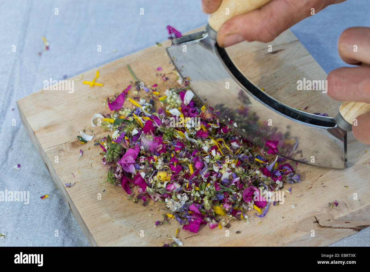 essbare Blüten sind gechopten, Deutschland Stockfoto