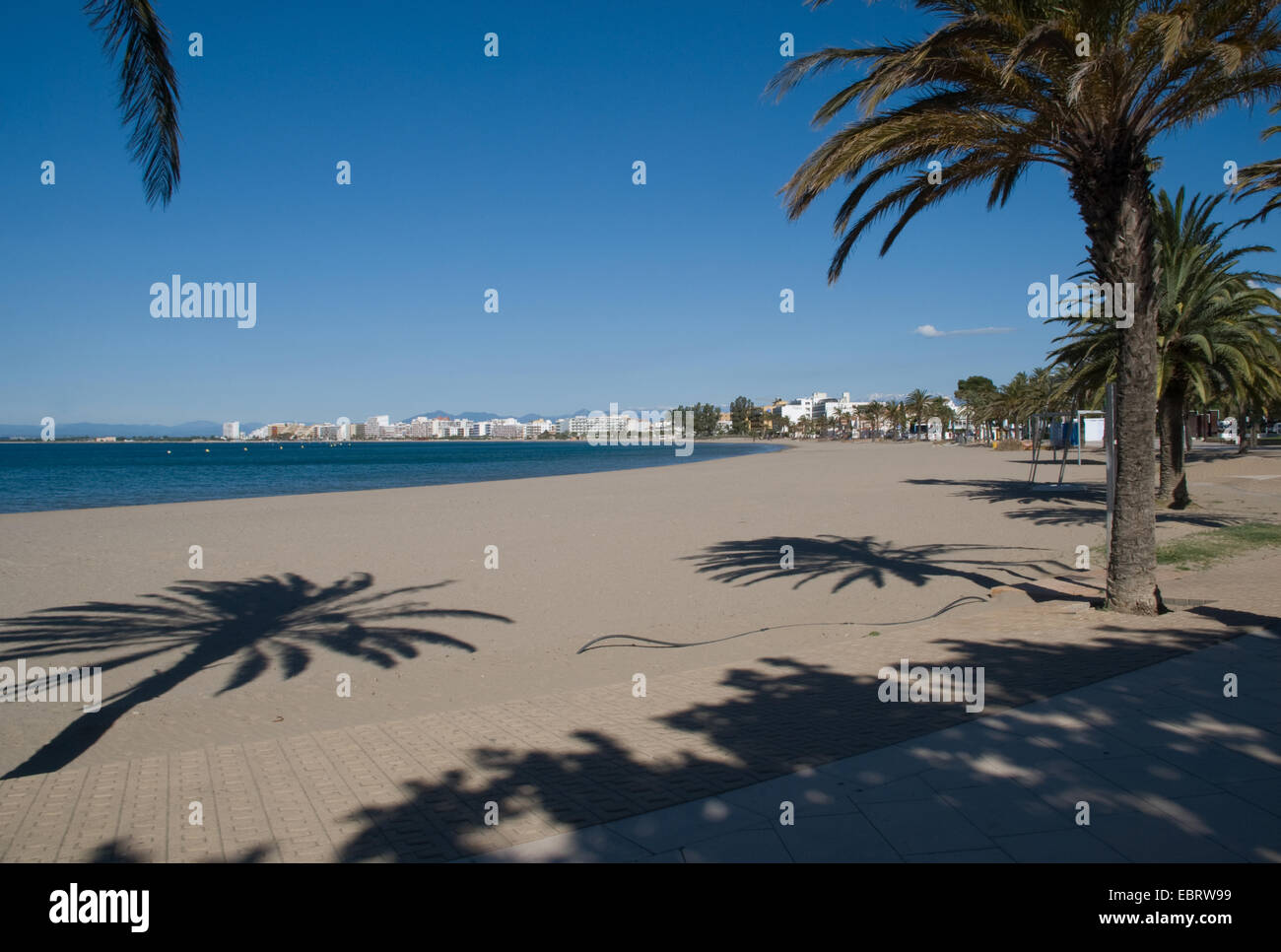 Leere Strandszene entlang der katalanischen Küste Spaniens mit Rosen-Resort im Hintergrund und Palmen, die lange Schatten werfen Stockfoto