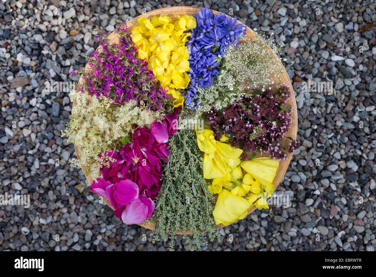 sortierte Blüten Trocknen auf einem Teller Stockfoto