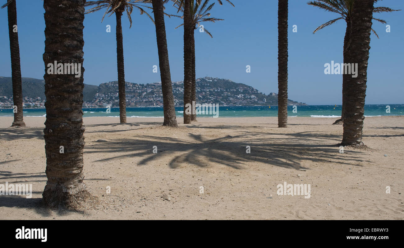 Palmen werfen Schatten an der spanischen Küste, Roses sieht durch die Bäume im Hintergrund Stockfoto