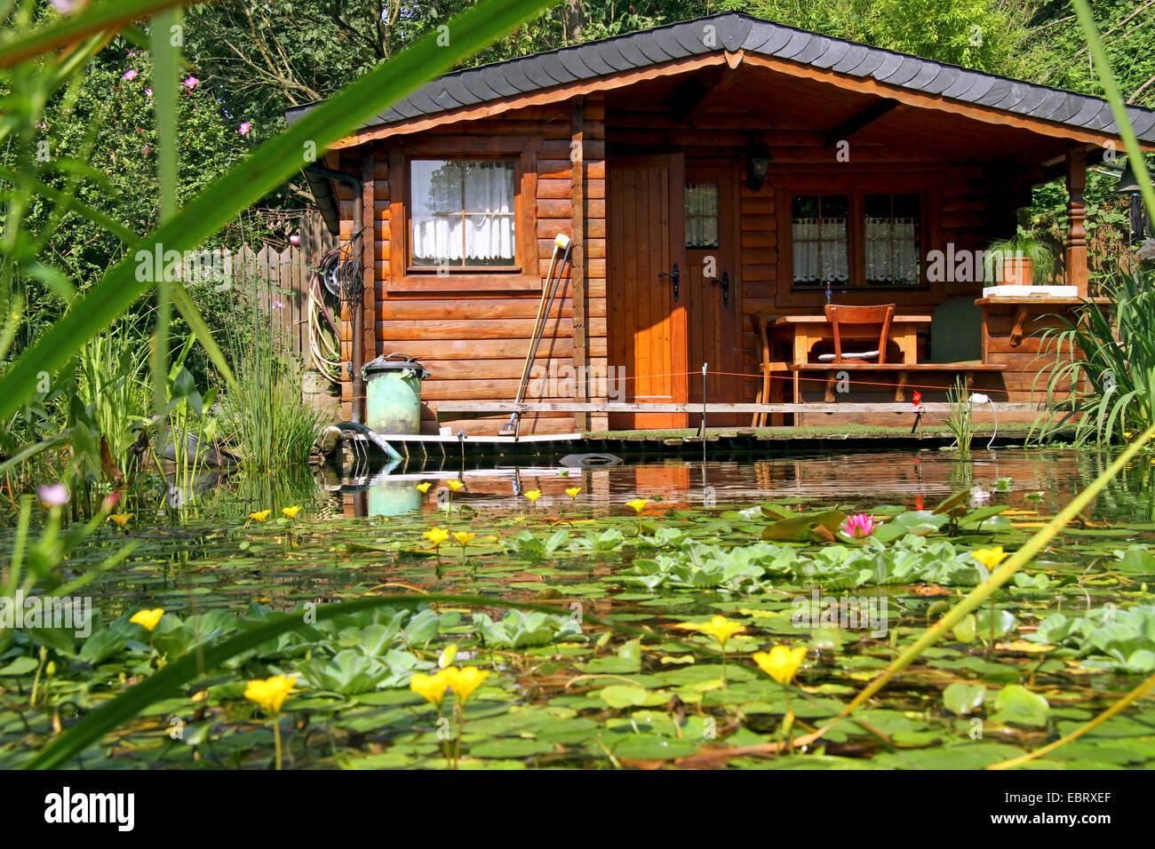 Fischteich mit Holzhütte im Sommer, Deutschland Stockfoto
