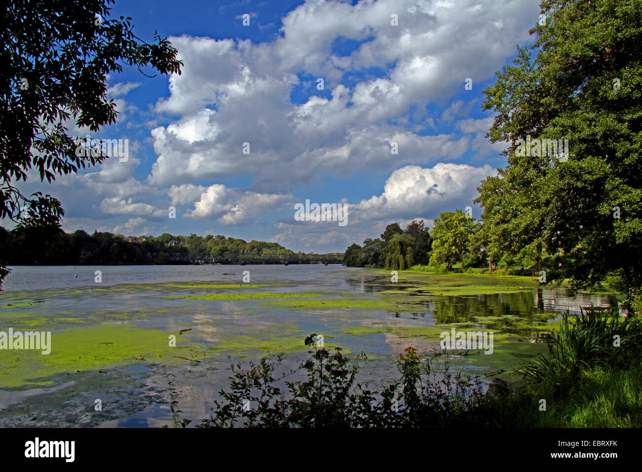 Freizeit und Umgebung See Baldeneysee, Deutschland, Nordrhein-Westfalen, Ruhrgebiet, Essen Stockfoto