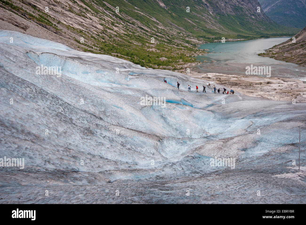 Gletscher Nigardsbreen, einem Gletscher Arm des Jostedalsbreen Gletscher, Norwegen, Jostedalsbreen Nationalpark unterwegs Stockfoto