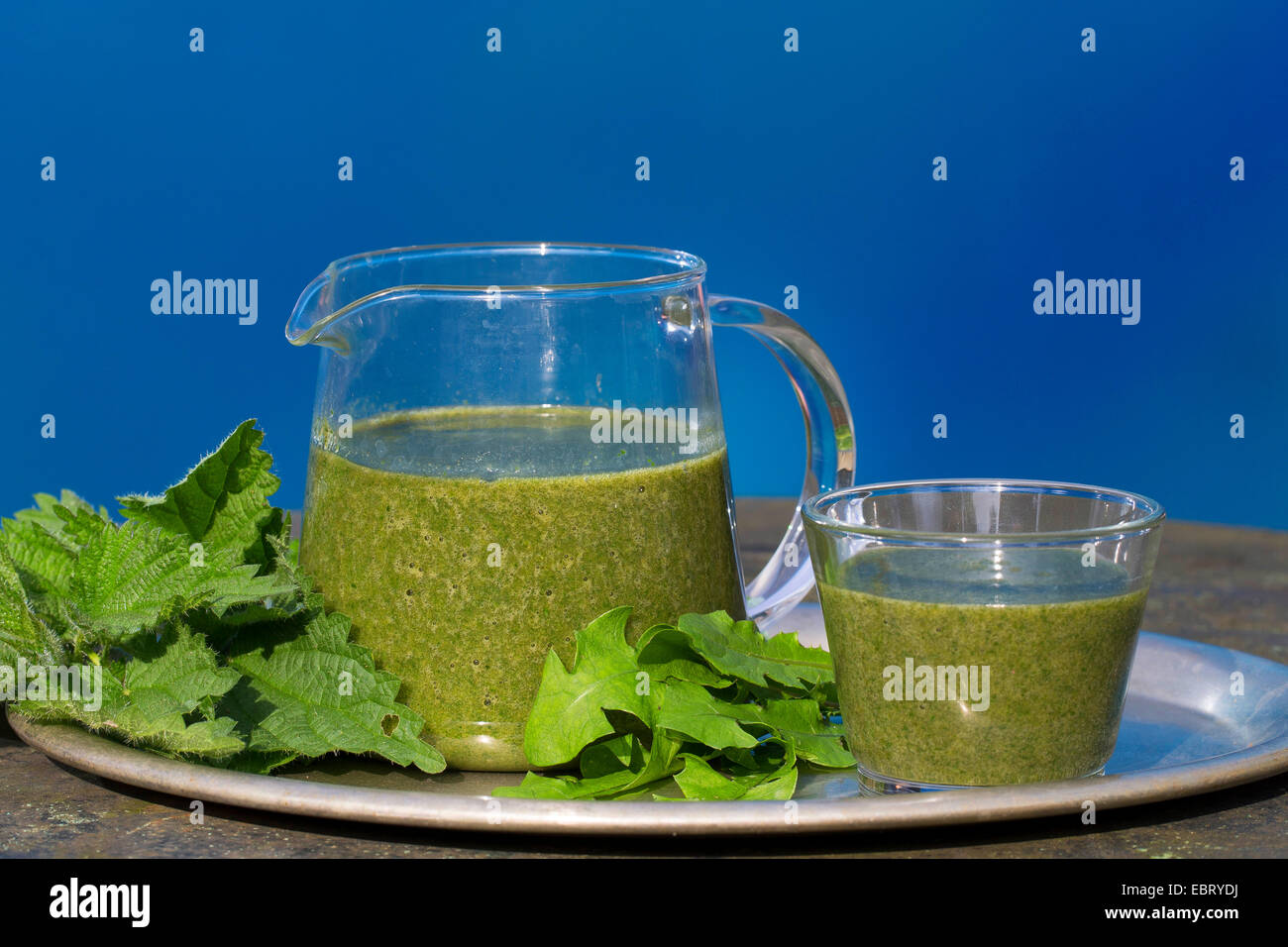 Green Smoothie gemacht von Brennnessel und Löwenzahn Stockfoto