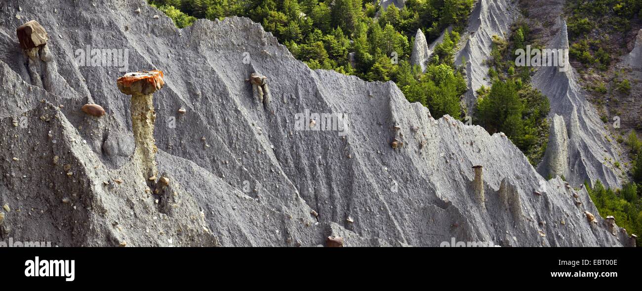 angeschnittene Ärmel junge Damen von Theus, rock Formation, Hautes Alpes, Frankreich, den USA Stockfoto