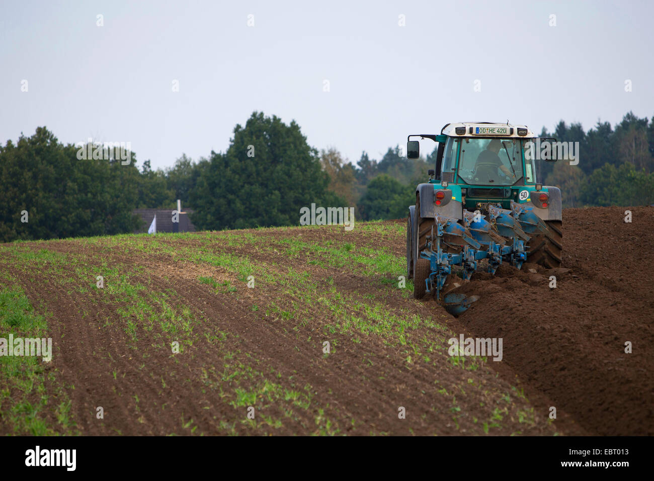 Traktor Pflügen einen Hektar, Deutschland, Schleswig-Holstein Stockfoto
