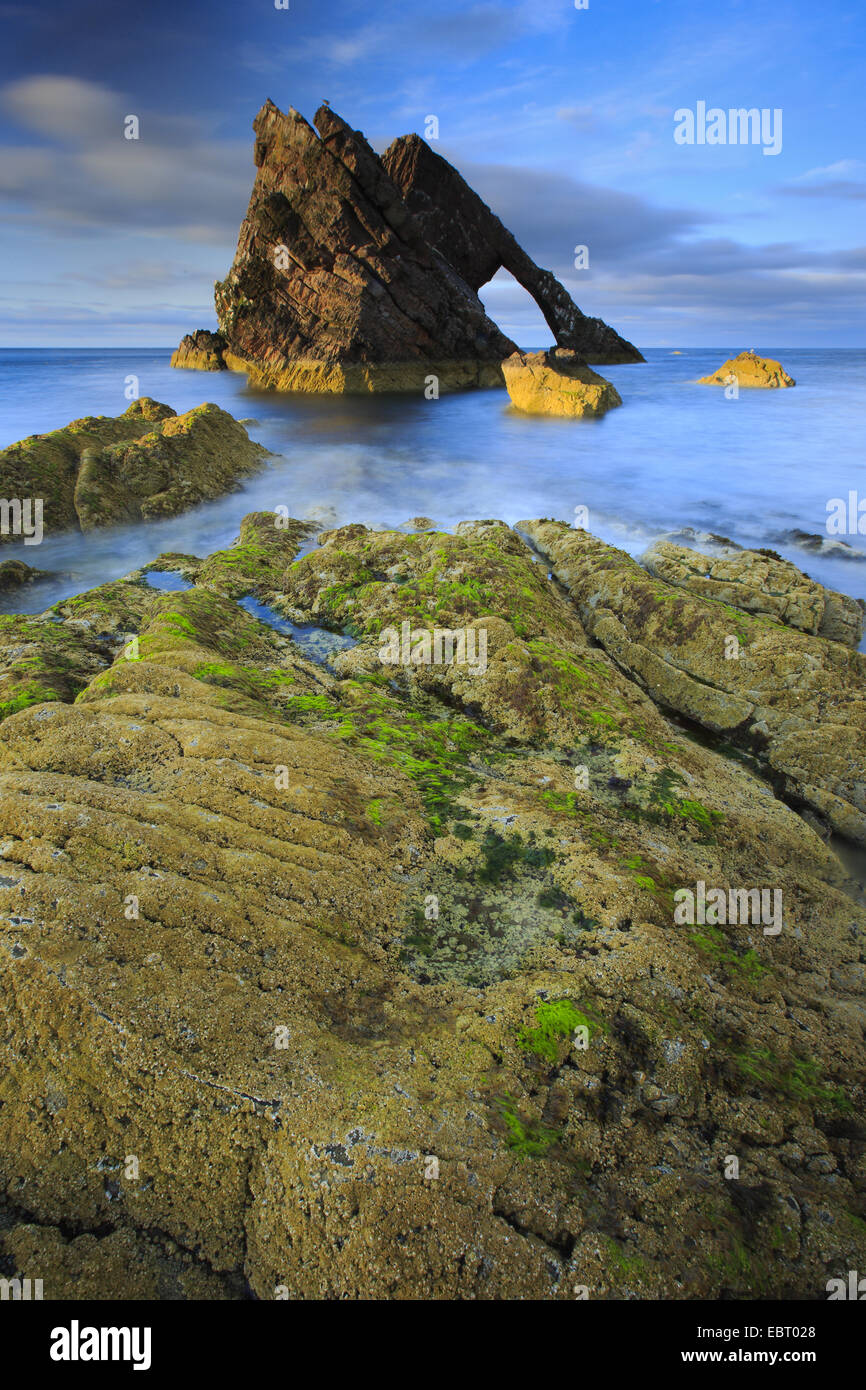 felsige Küste mit Bogen Geige Rock Arch, Großbritannien, Schottland, Portknockie Stockfoto