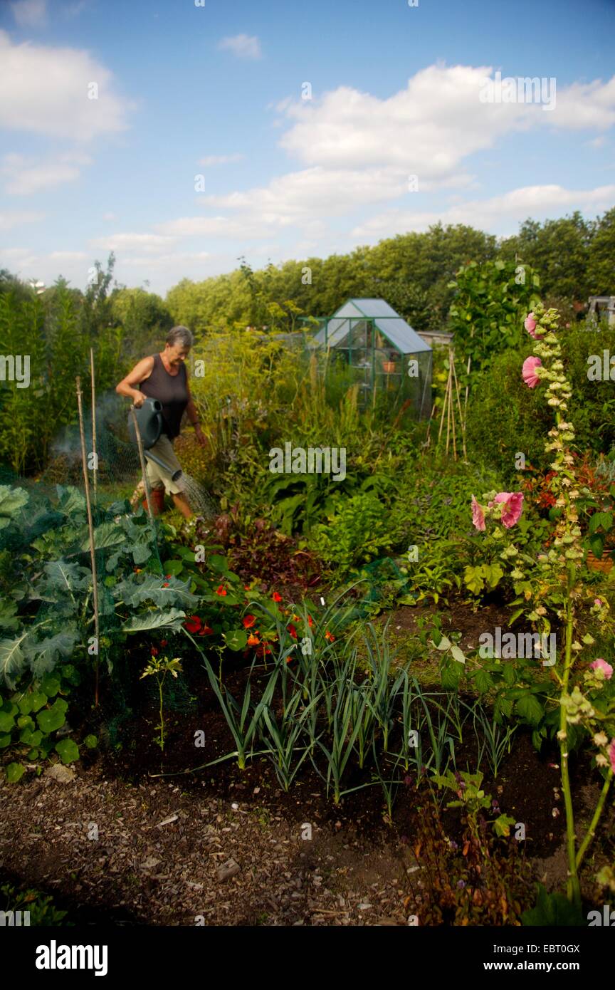 Frau in eine Zuteilung, London Stockfoto