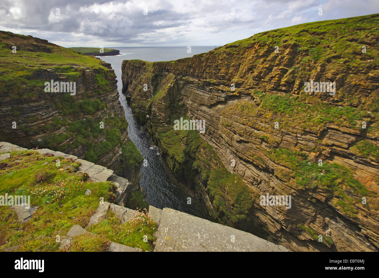 Klippe Linie mit Schlucht wie Erosion Ramna Geo, Großbritannien, Schottland, Orkney, Orkney Festland Stockfoto