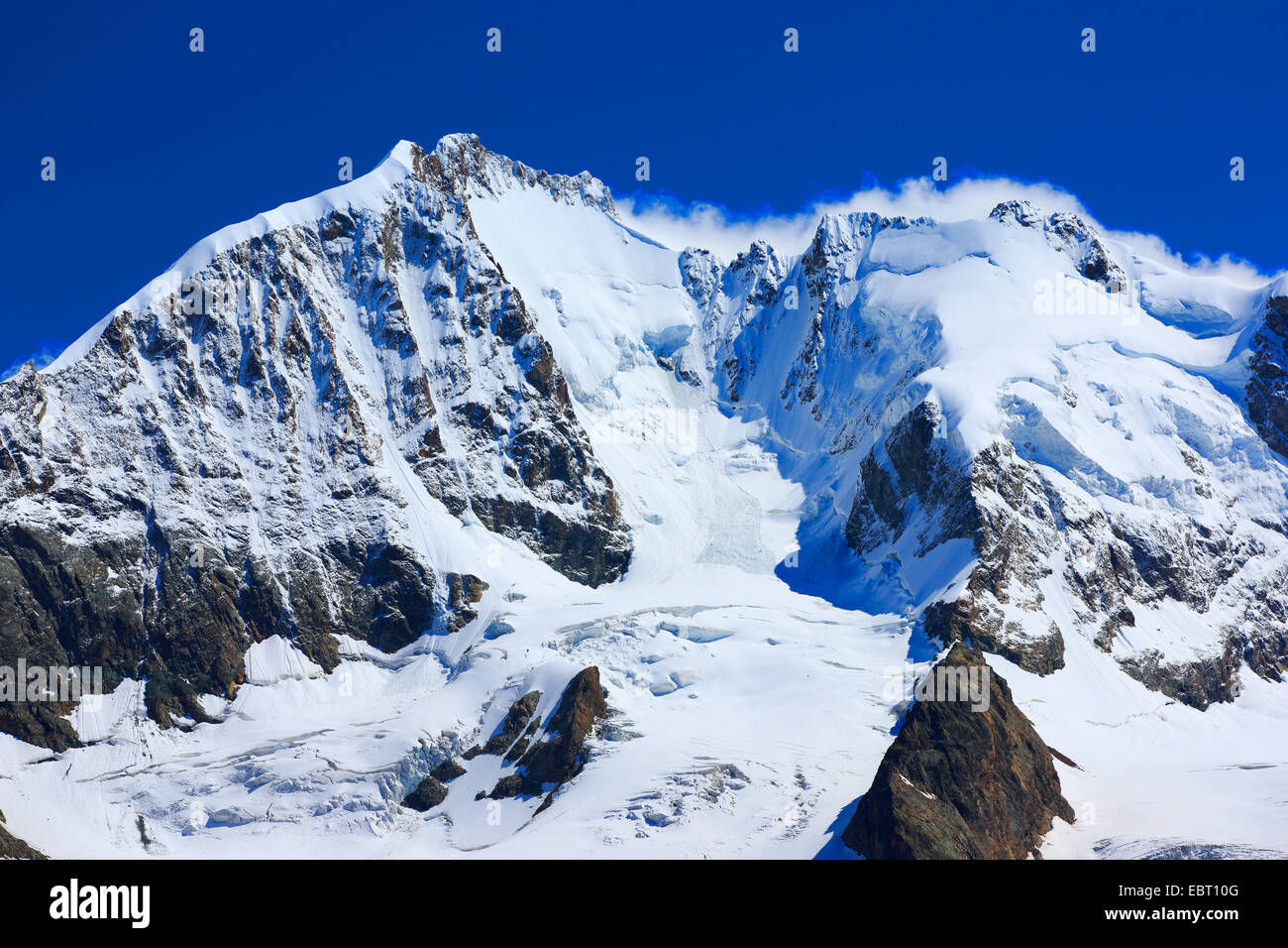 Blick von der Fuorcla Surlej mit Piz Bernina 4049 m, Biancograt, Piz Roseg 3937 m, Schweiz, Graubünden, Engadin Stockfoto
