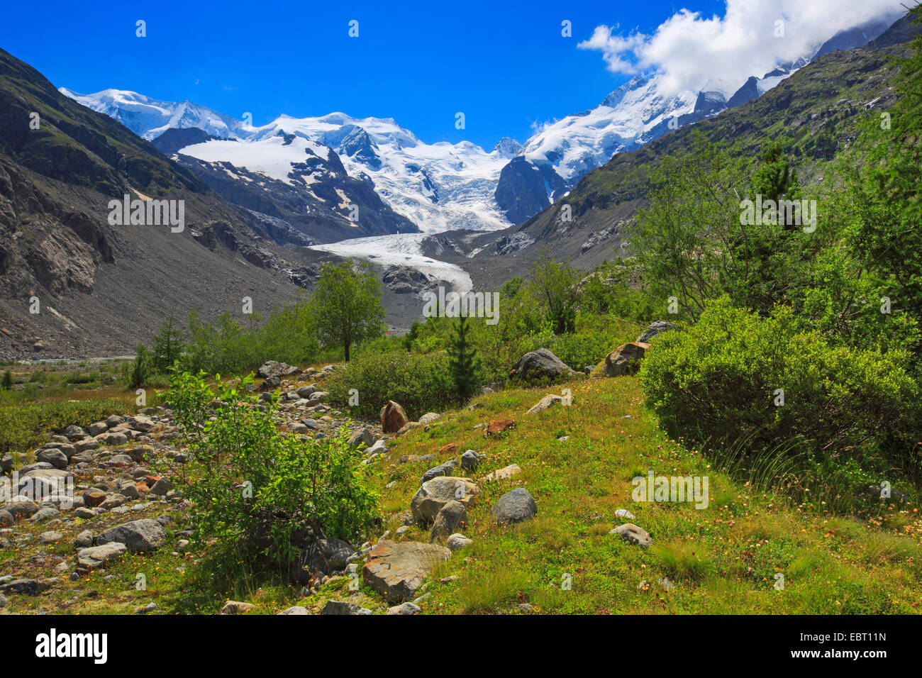 Morteratsch Tal mit Piz Palue, 3905 m, Piz Bernina, 4049 m, Biancograt und Morteratsch-Gletscher, Schweiz, Graubünden, Engadin Stockfoto