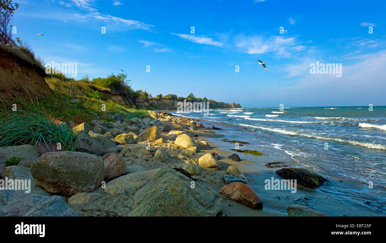 Steilküste an der Ostsee in der Nähe von Boltenhagen, Deutschland, Mecklenburg-Vorpommern, Redewisch Stockfoto