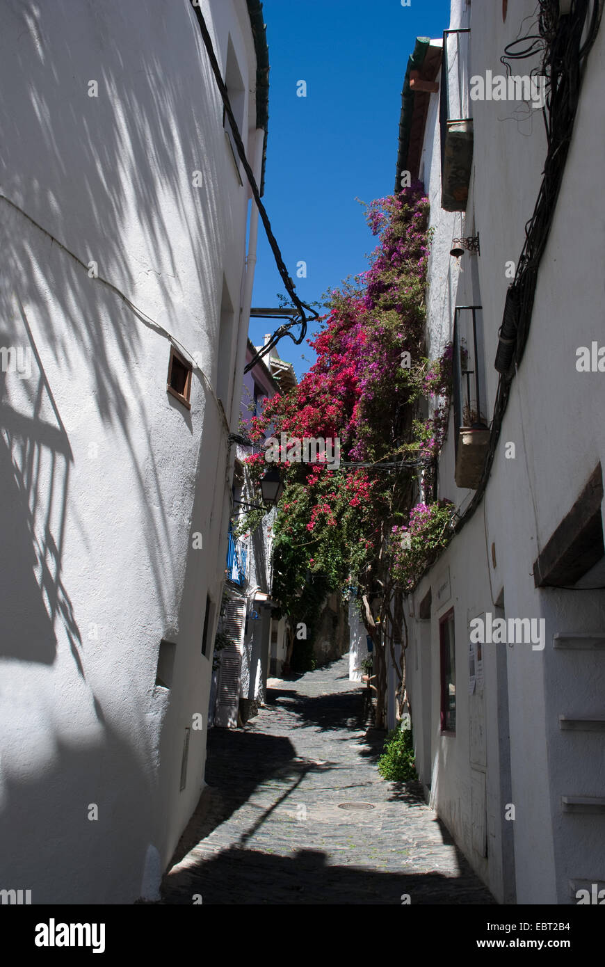 Farbenfrohe und aufsteigende schmale Passage zwischen den Häusern in Cadaques in Spanien mit blauem Sommerhimmel Stockfoto