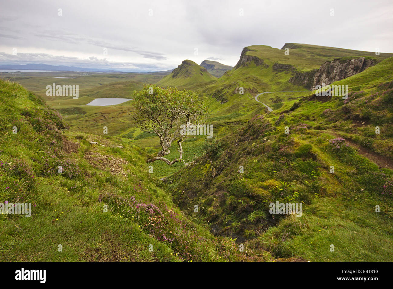 Quiraing, Trotternish, Großbritannien, Schottland, Isle Of Skye Stockfoto