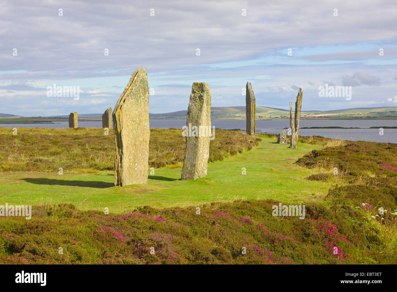 Ring of Brodgar neolithischen Henge, Großbritannien, Schottland, Orkney, Orkney Festland Stockfoto