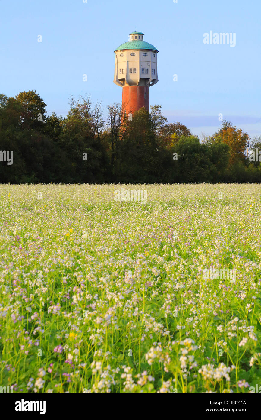 Alter Wasserturm von Edingen Edingen, Deutschland Stockfoto