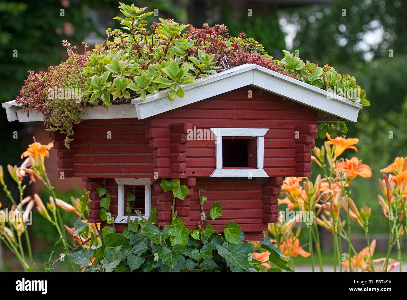 dekoratives Vogelhaus mit dem Dach gepflanzt mit Sukkulenten, Deutschland Stockfoto