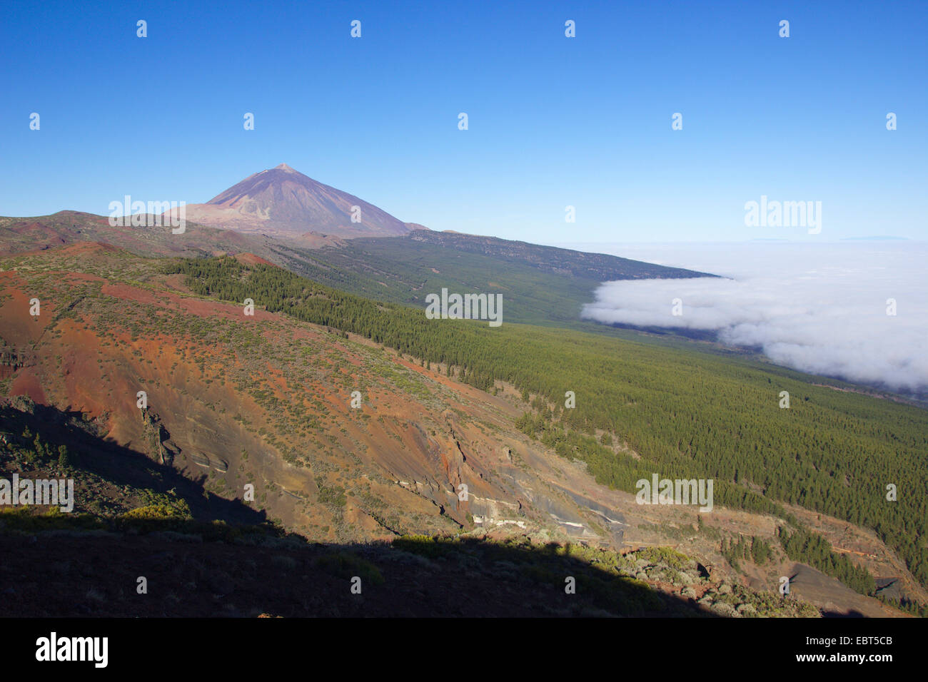 Cumbre Dorsal Bergrücken und Vulkan Teide, Tal der Otavara in Wolken, Kanaren, Teneriffa, Teide-Nationalpark, La Tarta Stockfoto