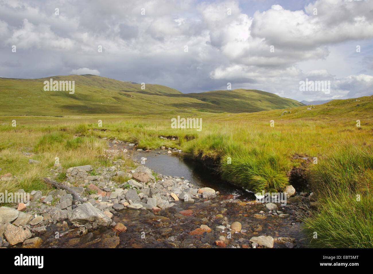 Bach in Schottisches Hochland zwischen Marmores und grau Hochgebirgsflora, Großbritannien, Schottland, Glen Nevis Stockfoto