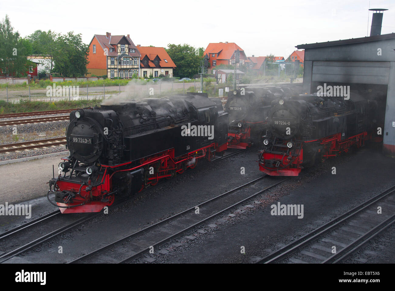 Dampflokomotiven der Harzer Schmalspurbahnen, Wernigerode, Sachsen-Anhalt, Deutschland Stockfoto