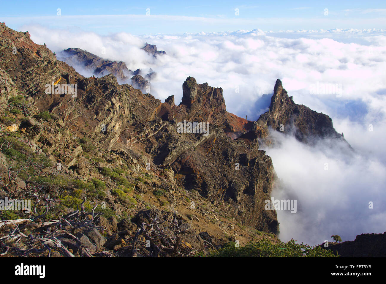 Caldera de Taburiente, Kanarische Inseln, La Palma, Piedra Llana Stockfoto