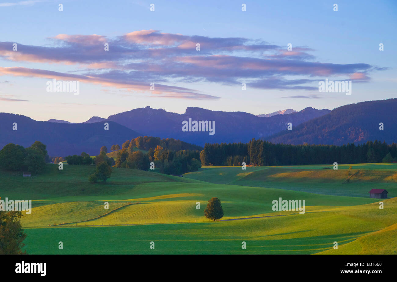 Blick vom Wildsteig auf die Ammer-Berge und die Zugspitze im Morgenlicht, Oberbayern, Oberbayern, Bayern, Deutschland Stockfoto