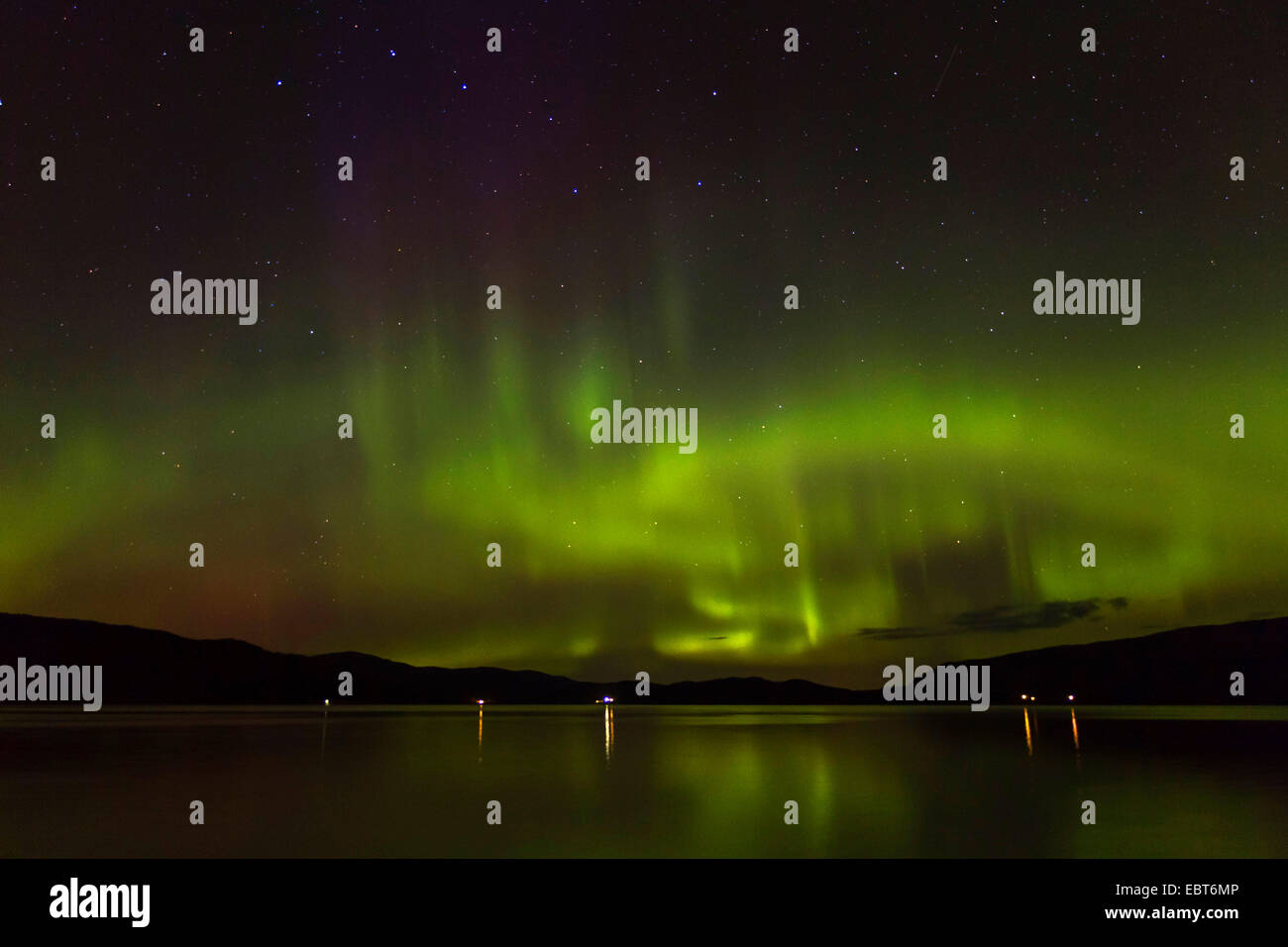 Polarlicht vor Sternbild Ursa Major, Norwegen, Namsos Stockfoto