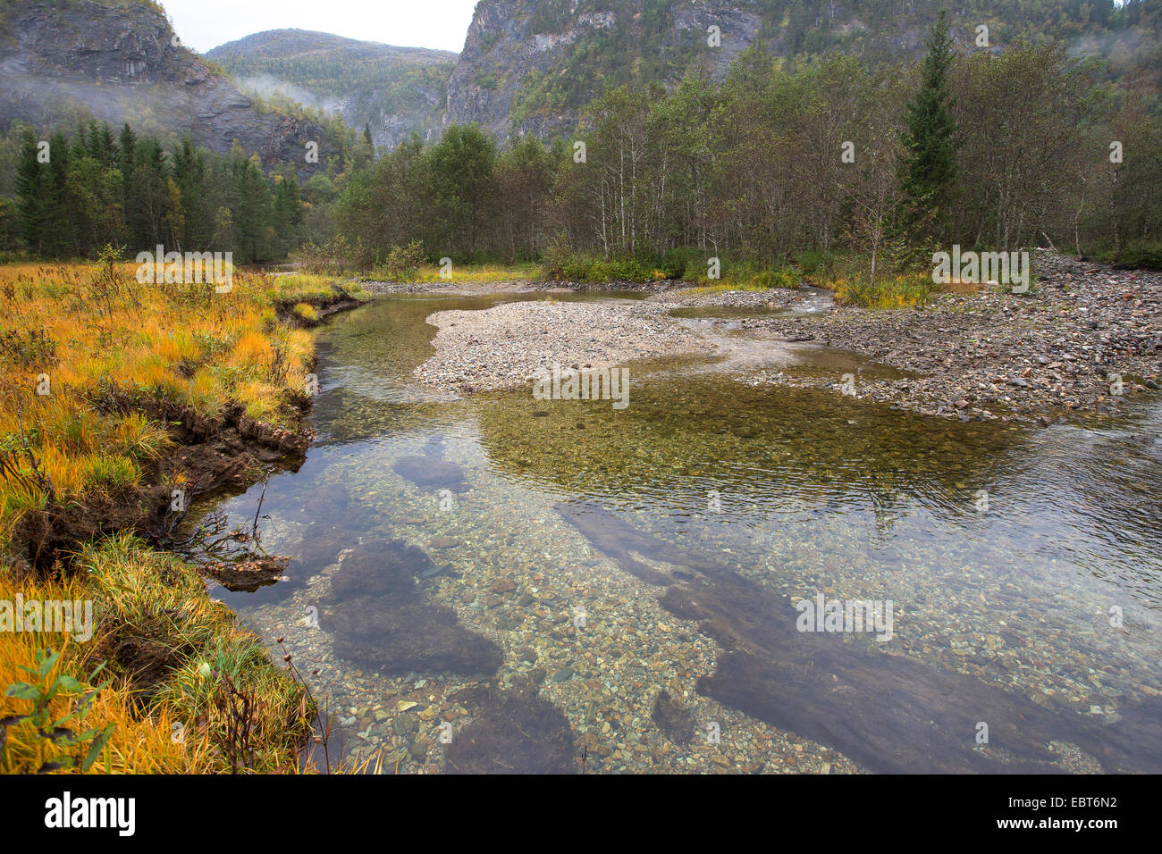 Fluss in den Bergen, natürliche Laichgrund für Atlantischen Lachs und Forelle, Norwegen, Nordland, Glomelva Stockfoto
