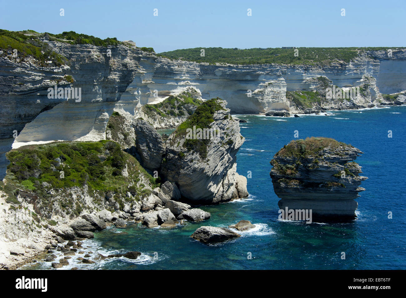 Kreidefelsen von Bonifacio, Frankreich, Korsika, Bonifacio Stockfoto