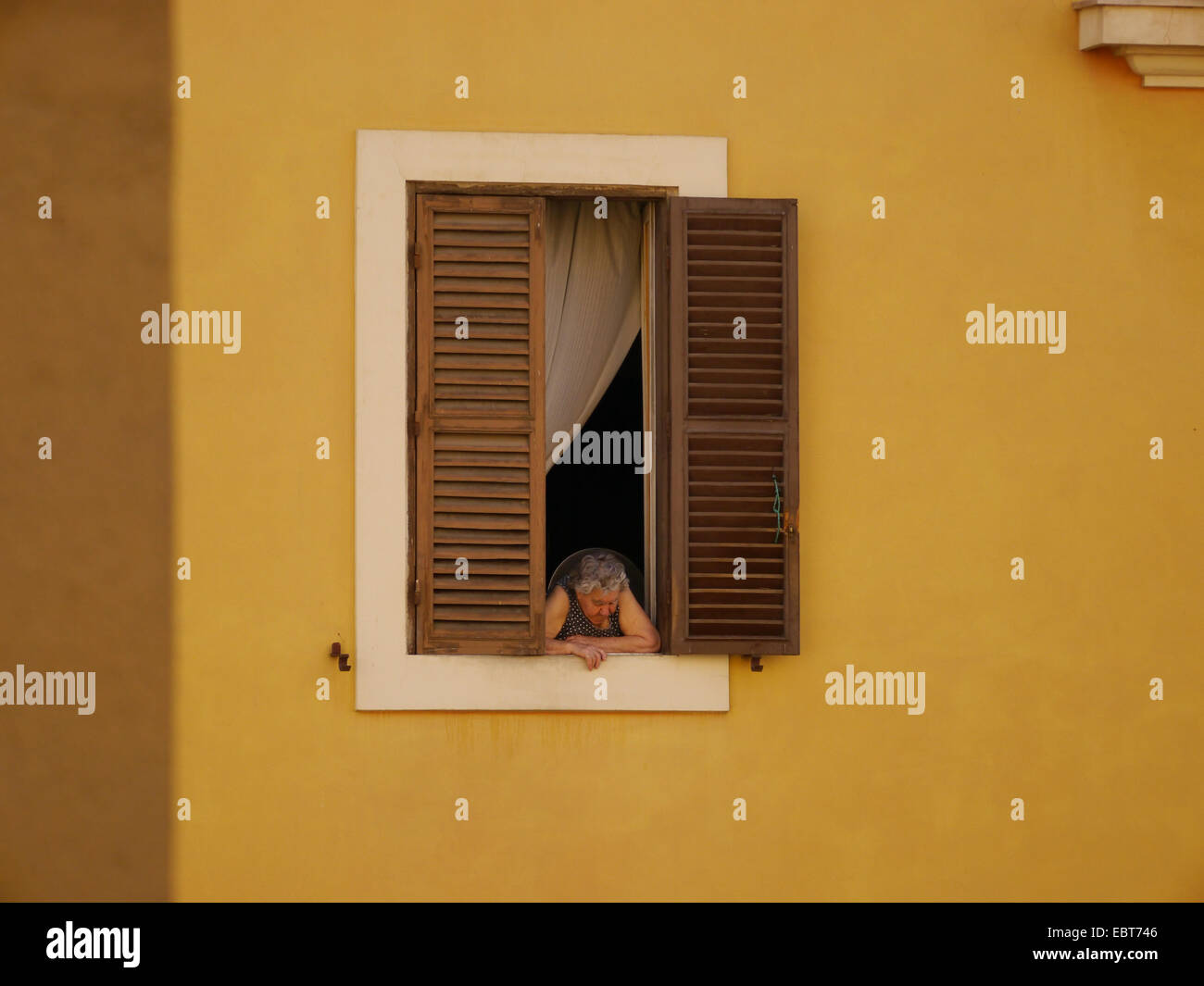 Eine kleine alte Dame suchen aus einem großen Fenster mit Fensterläden und ein Vorhang Stockfoto