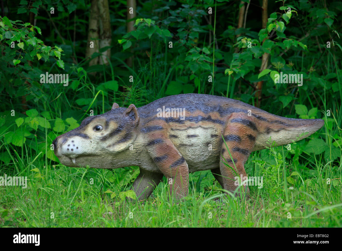 Cynognathus (Cynognathus Crateronotus), Säugetierwie Reptil auf einer