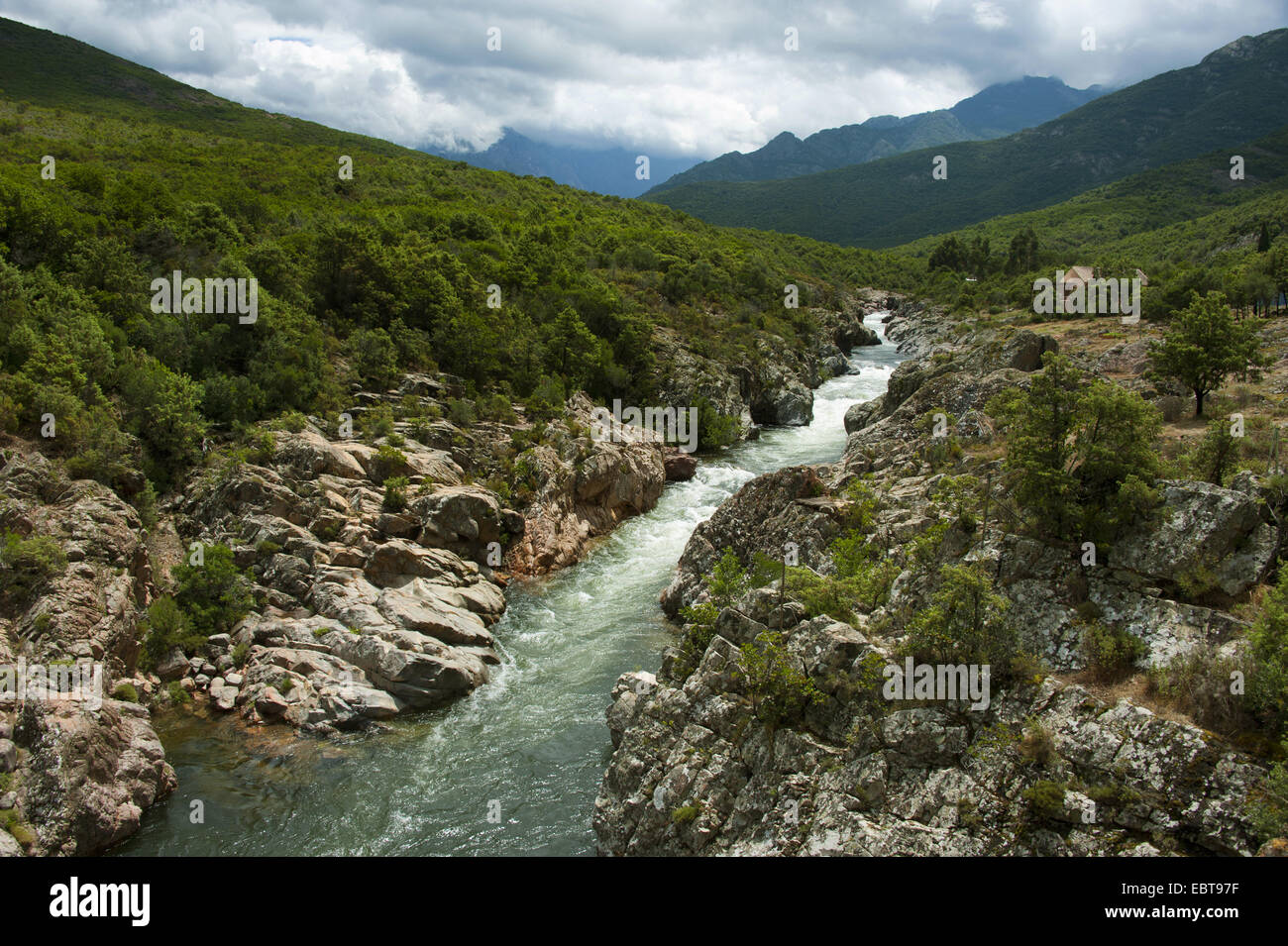 Fango-Fluss, Frankreich, Corsica Stockfoto