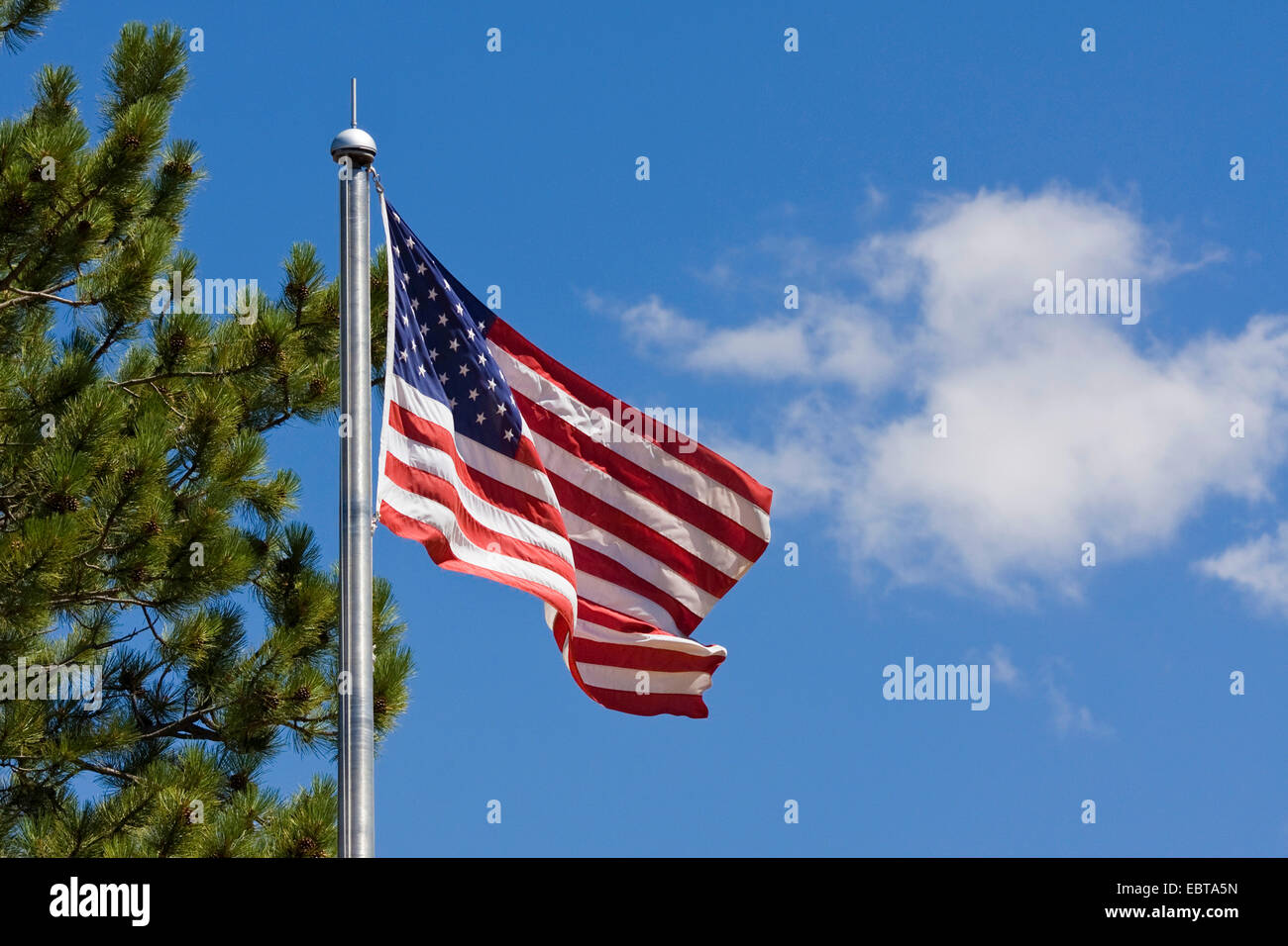 Amerikanische Flagge mit Kiefer, USA, Utah Stockfoto
