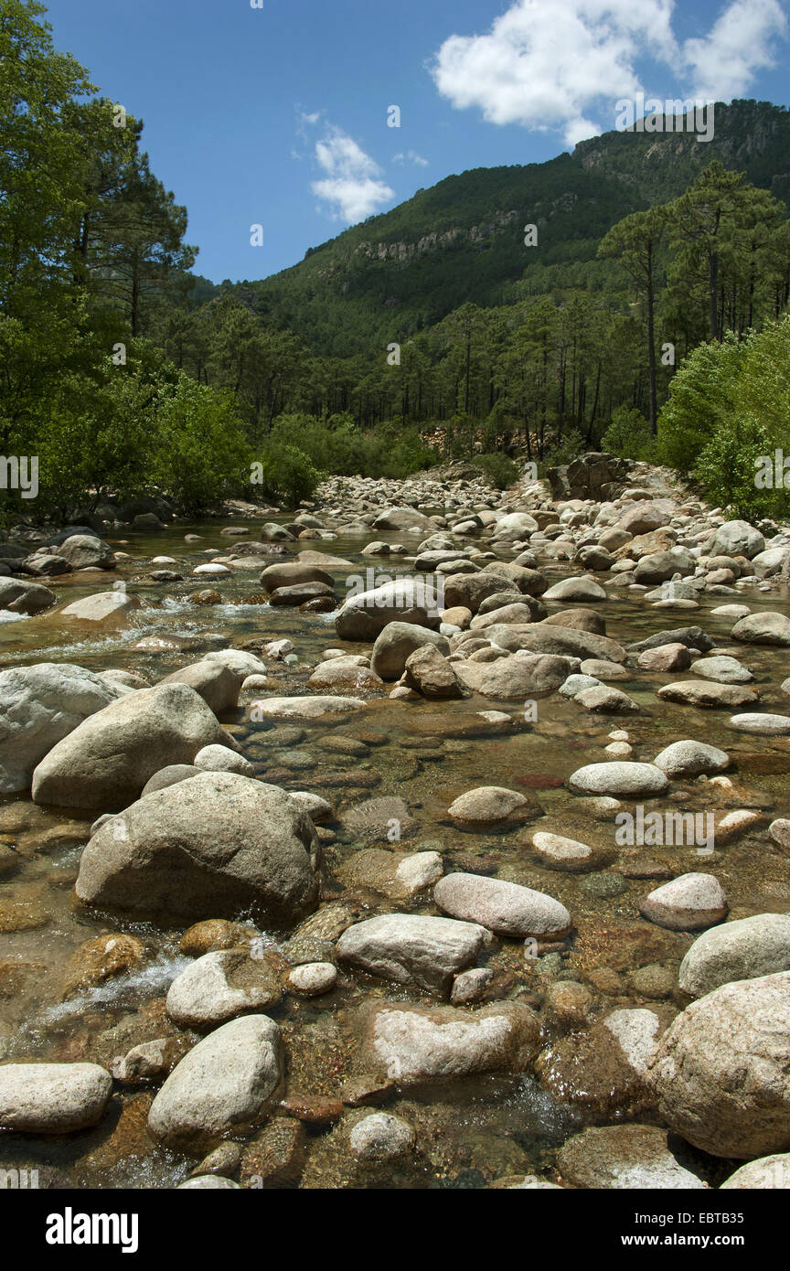 Solenzara-Fluss, Frankreich, Corsica Stockfoto