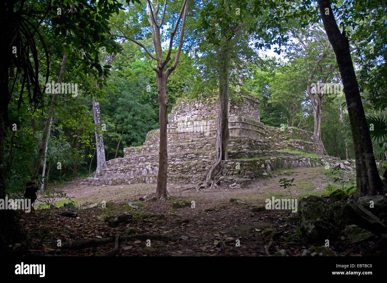 Ruinen in Muyil, Mexiko, Yucatan, Muyil Stockfoto