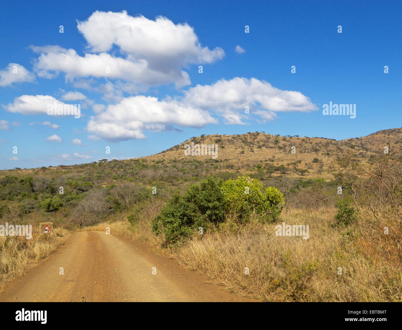 unbefestigte Straße in Savanne, Südafrika, Hluhluwe-Umfolozi Nationalpark, Mpila Camp Stockfoto