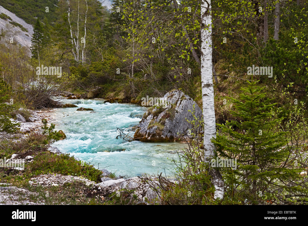 Oberlauf der Isarauen, Österreich, Hinterautal, Karwendelgebirge Stockfoto