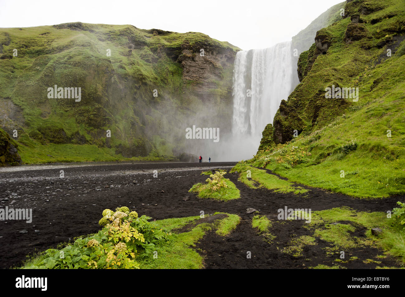 Blick ins Tal mit dem monumentalen Wasserfall Skogar des Flusses Skoga, Island, Skogar Stockfoto