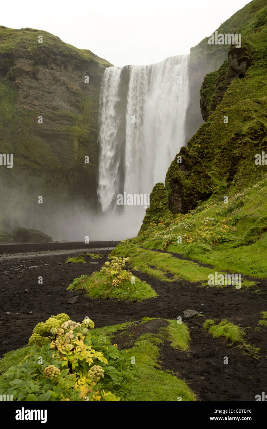 Blick ins Tal mit dem monumentalen Wasserfall Skogar des Flusses Skoga, Island, Skogar Stockfoto