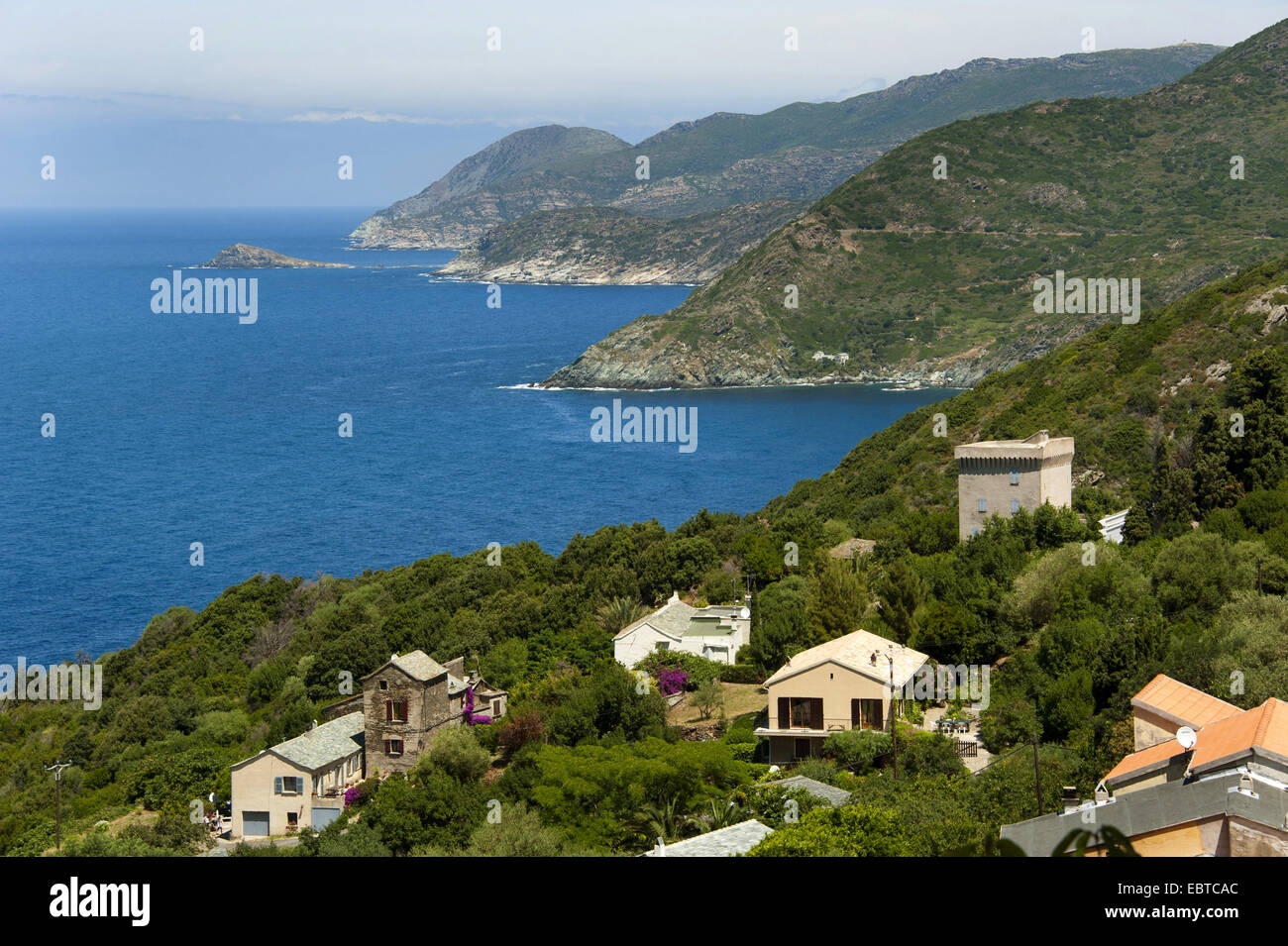 Küste Landschaft, Frankreich, Korsika, Cap Corse, Pinu Stockfoto