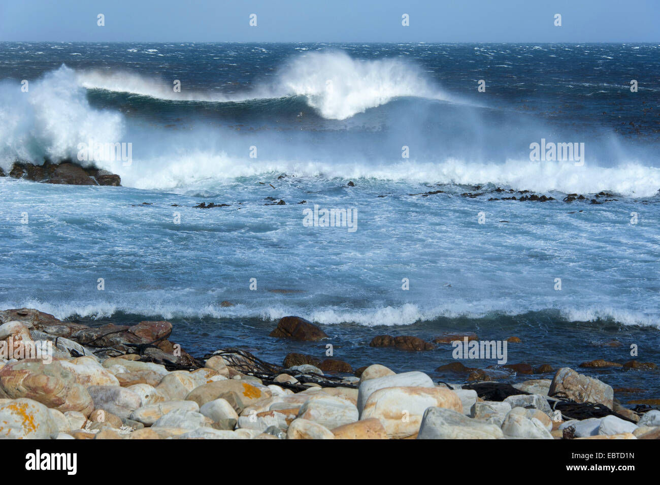 brechen der Wellen an der Atlantikküste am Kap der guten Hoffnung, Südafrika, Western Cape, Kap der Guten Hoffnung-Nationalpark Stockfoto