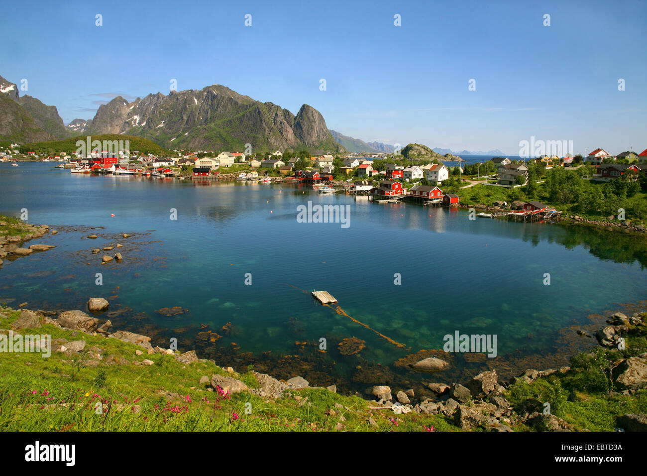 Fischerdorf in einem Fjord, Norwegen, Lofoten-Inseln, Moskenes Stockfoto